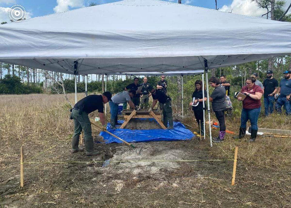 Los restos humanos encontrados cerca de un cocodrilo que los estaba custodiando pertenecen a un hombre del Condado St. Lucie, en la costa este del estado de la Florida.