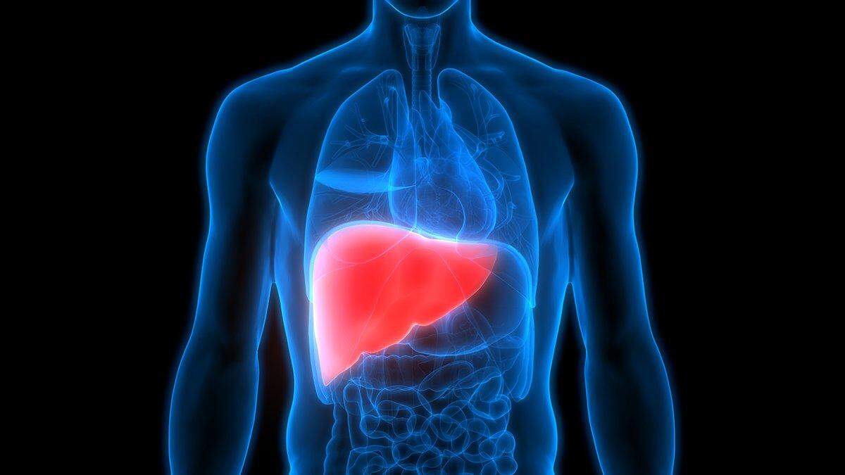 Los misteriosos casos de hepatitis en niños han crecido hasta llegar al menos a 500 niños en 20 países, incluidos 180 niños en Estados Unidos. La hepatitis ataca al hígado y puede causar graves problemas de salud.