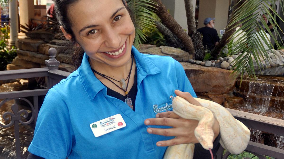En esta fotografía de archivo del 31 de enero de 2019, Solemi Hernández, de Everglades Wonder Gardens, se muestra sosteniendo a “Hera”, una boa constrictor de cola roja, en la Exposición Comunitaria de la Cámara de Comercio del área de Bonita Springs en Bonita Springs.
