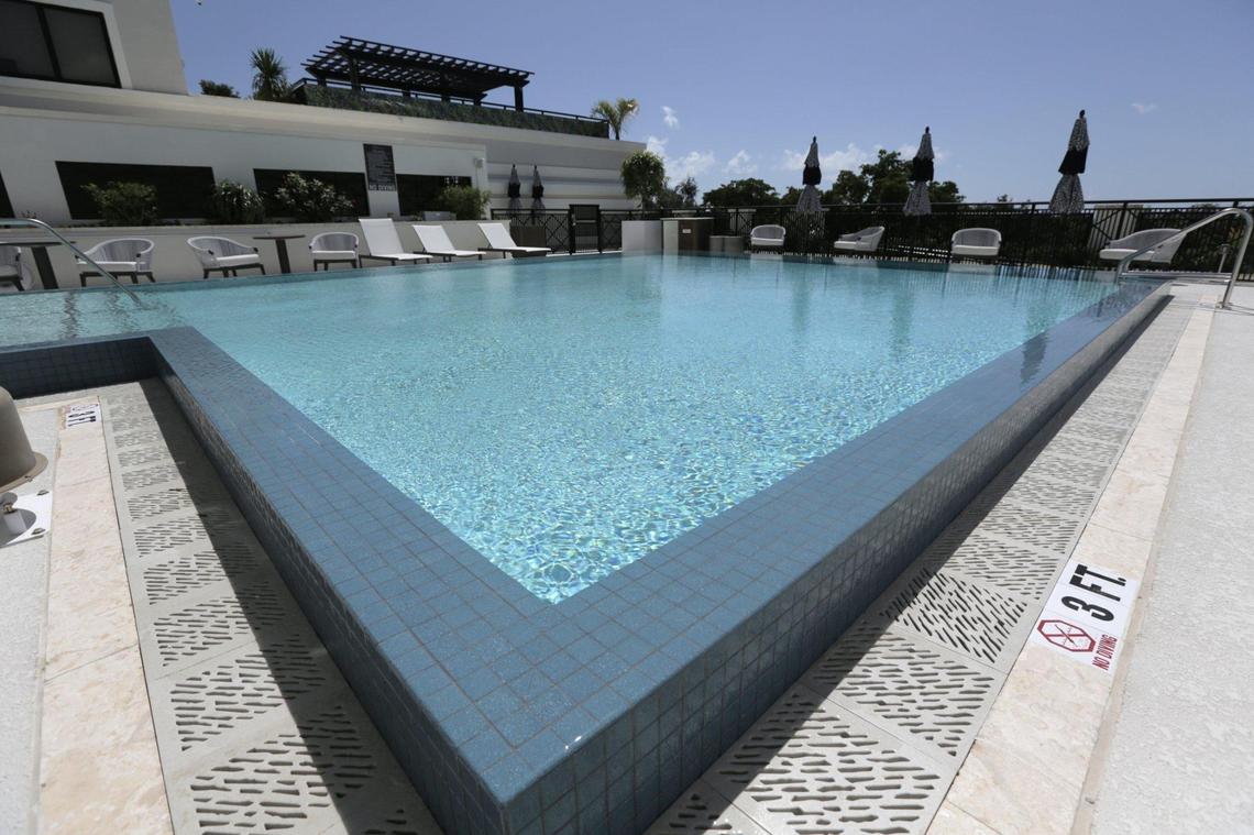 Desde la piscina del THesis Hotel se pueden ver los árboles grandes que distinguen a Coral Gables.