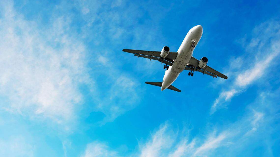 A Wichita man was sentenced Tuesday after causing an emergency landing on a commercial flight. 