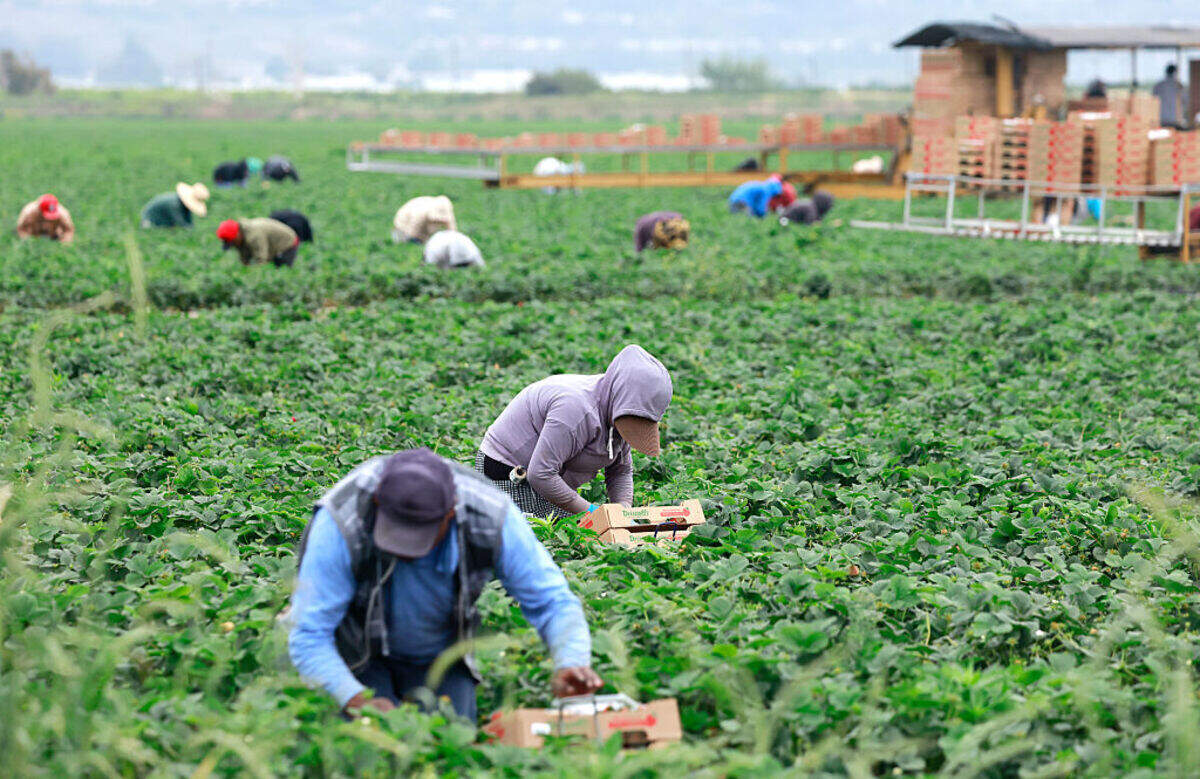 Para trabajadores agrícolas con tarjeta de residencia y ciudadanos estadounidenses naturalizados, existe otra fuente de estrés: el temor de que inscribirse en Medicaid pueda poner información personal en manos de autoridades migratorias.