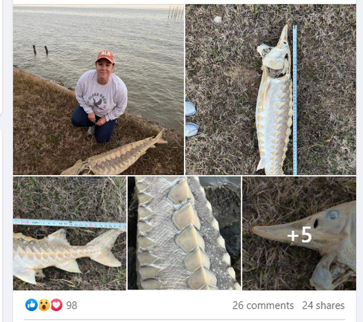 Mrs. May’s Science at Clark/Facebook