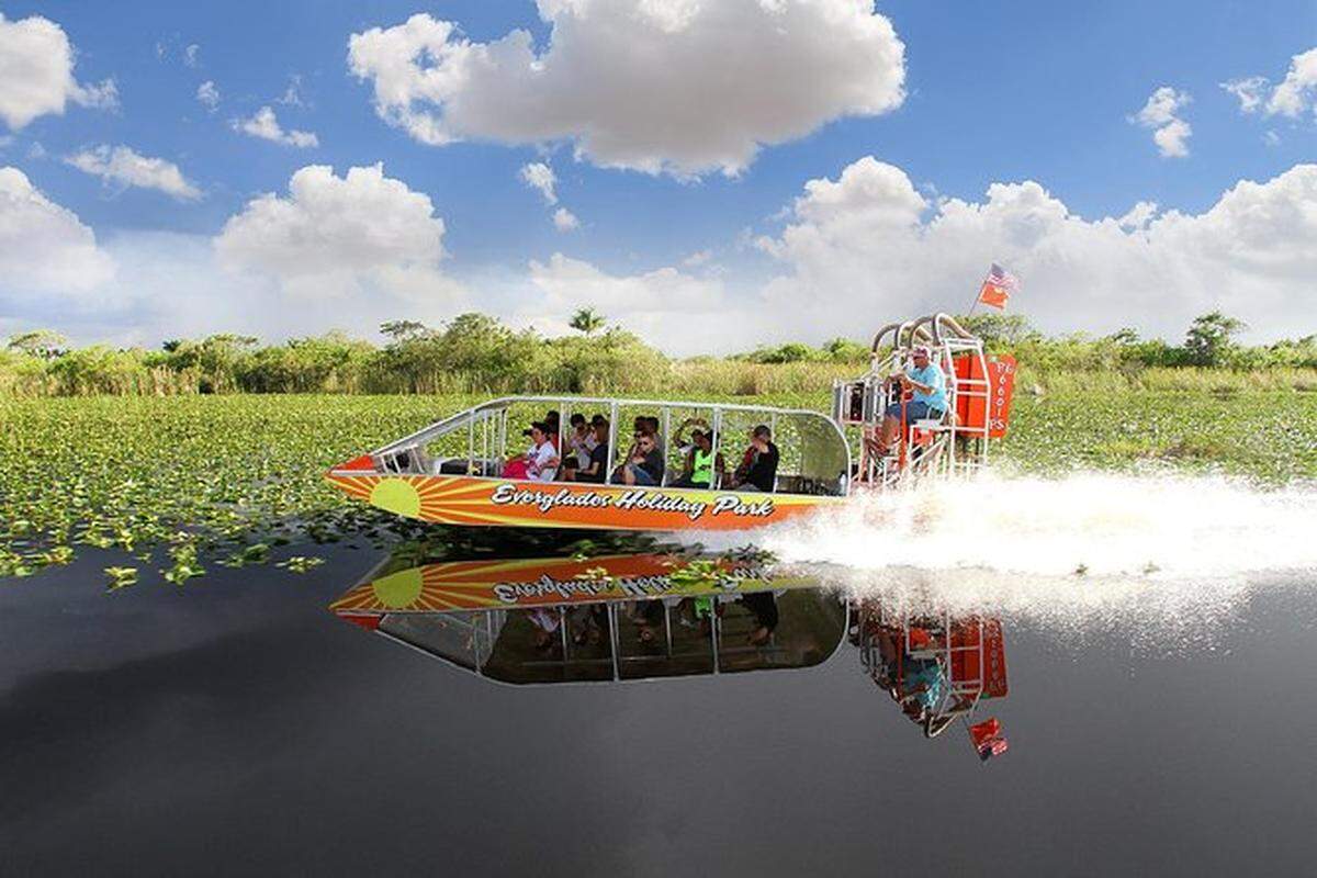 Explore los Everglades durante un paseo panorámico en hidrodeslizador.