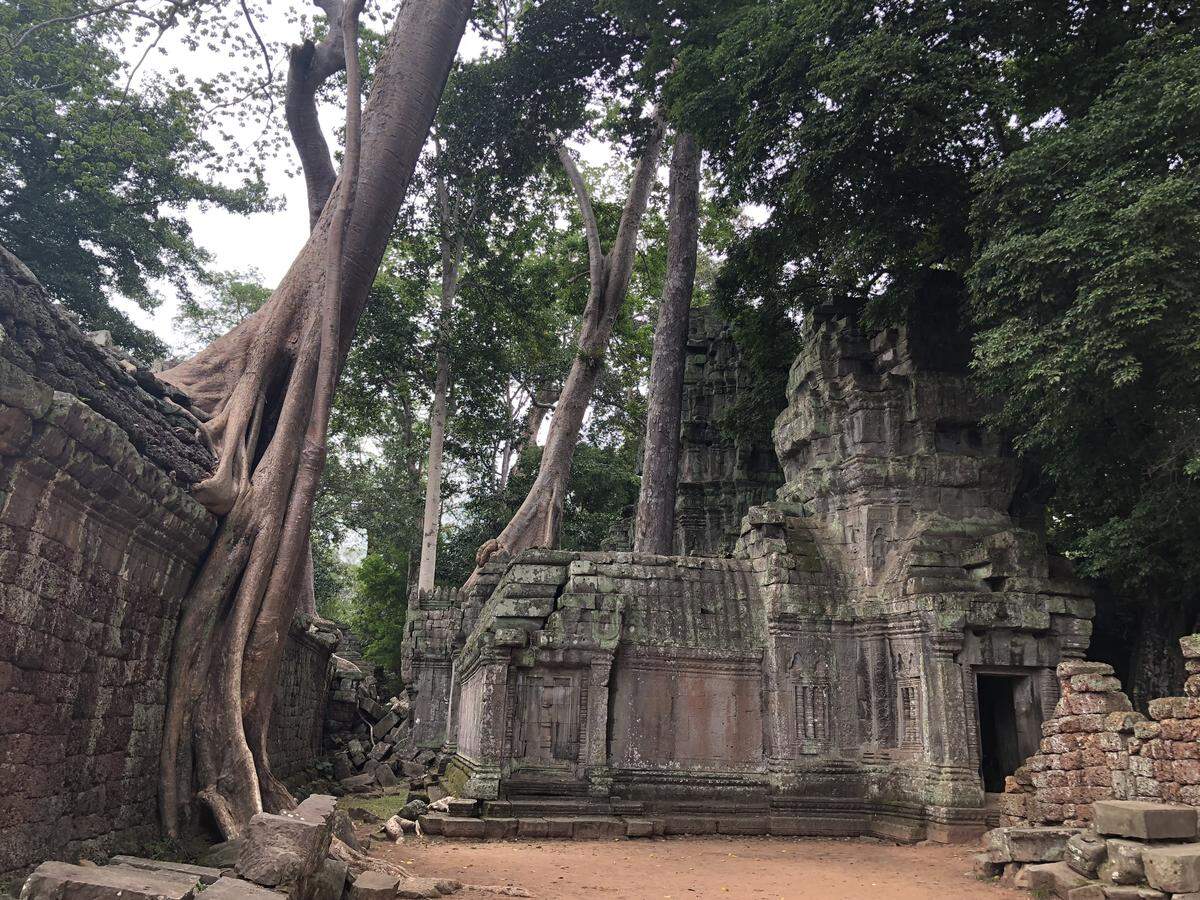 Templo Ta Prohm-Angkor.