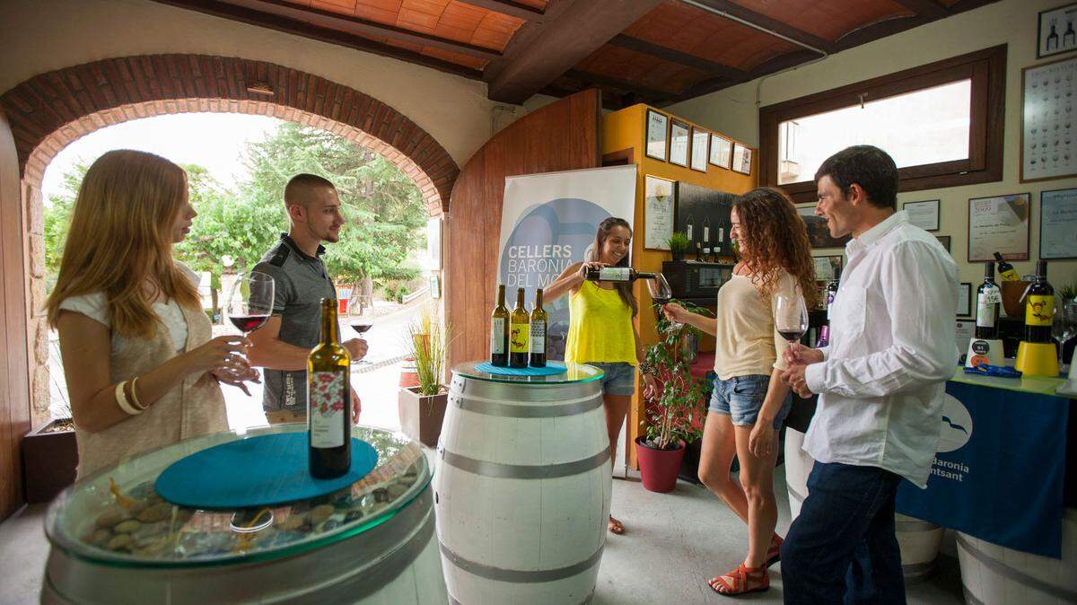 Una cata de vinos en las bodegas Cellers Baronia del Montsant en Cornudella de Montsant, Tarragona. Se trata de una bodega que elabora vinos de gran calidad, distintos y de producciones muy limitadas.
