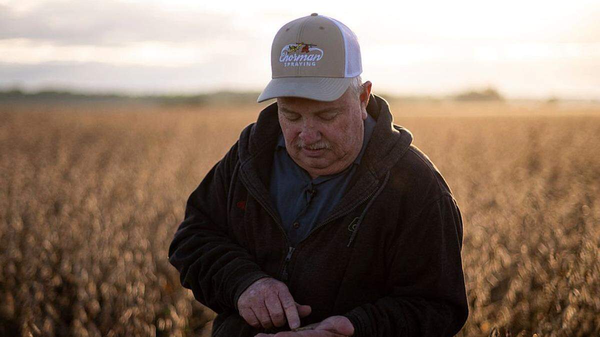 Travis Hutchison, a soybean farmer, inspects soybean kernels as he stands on one of his family's farms in Cordova, Maryland, on October 10, 2025. The US soybean harvest is underway and in rural Maryland, farmer Travis Hutchison cracks open a pod to show how a field is nearly dry enough for reaping. But a decent yield is not enough to secure his income this year -- with China, once the biggest buyer of US soybean exports, halting orders in a trade row triggered by President Donald Trump's aggressive tariffs. Soybean prices "are really depressed because of the trade war," Hutchison told AFP. His family tills 3,400 acres of soybeans, corn and other crops. (Photo by ROBERTO SCHMIDT / AFP) (Photo by ROBERTO SCHMIDT/AFP via Getty Images)          