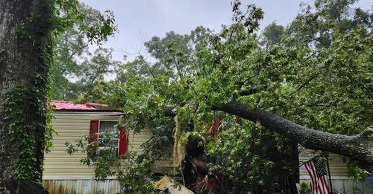 El Departamento de Policía del Condado Levy informó que un niño de 13 años de edad falleció aplastado después de que un árbol cayera sobre una casa móvil. tras el paso del huracán Debby el 5 de agosto de 2024.