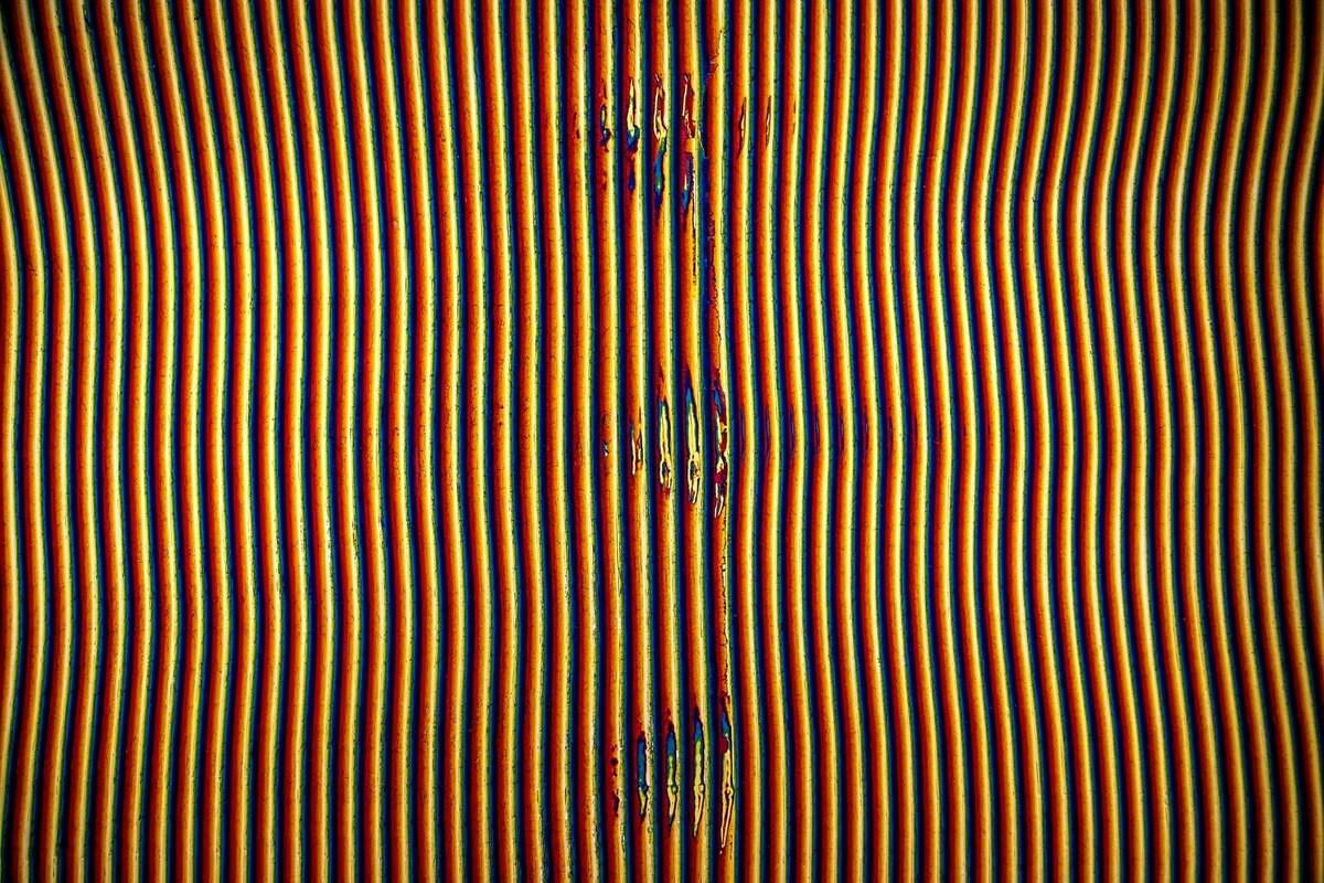 ‘FSLTD’, 2018–20, pintura látex sobre panel, 90 x 145 pulgadas.