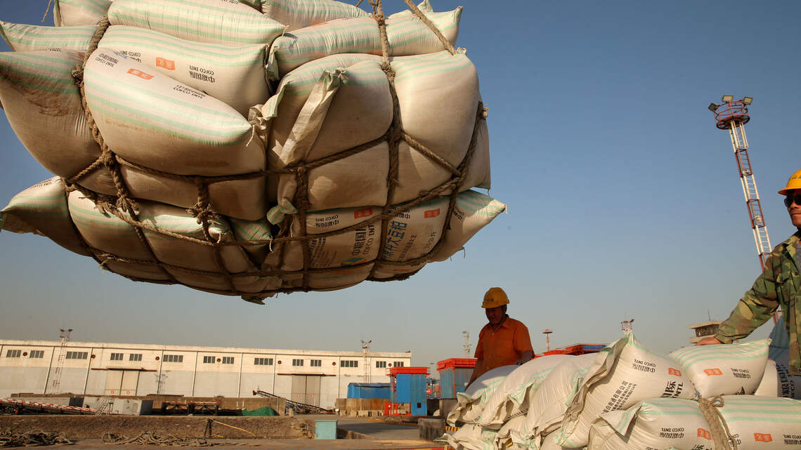 Compradores estatales chinos adquieren más soja de EEUU luego de cumbre entre Trump y Xi
