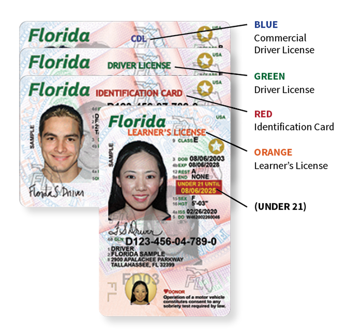 Diferentes licencias de conducir de Florida.