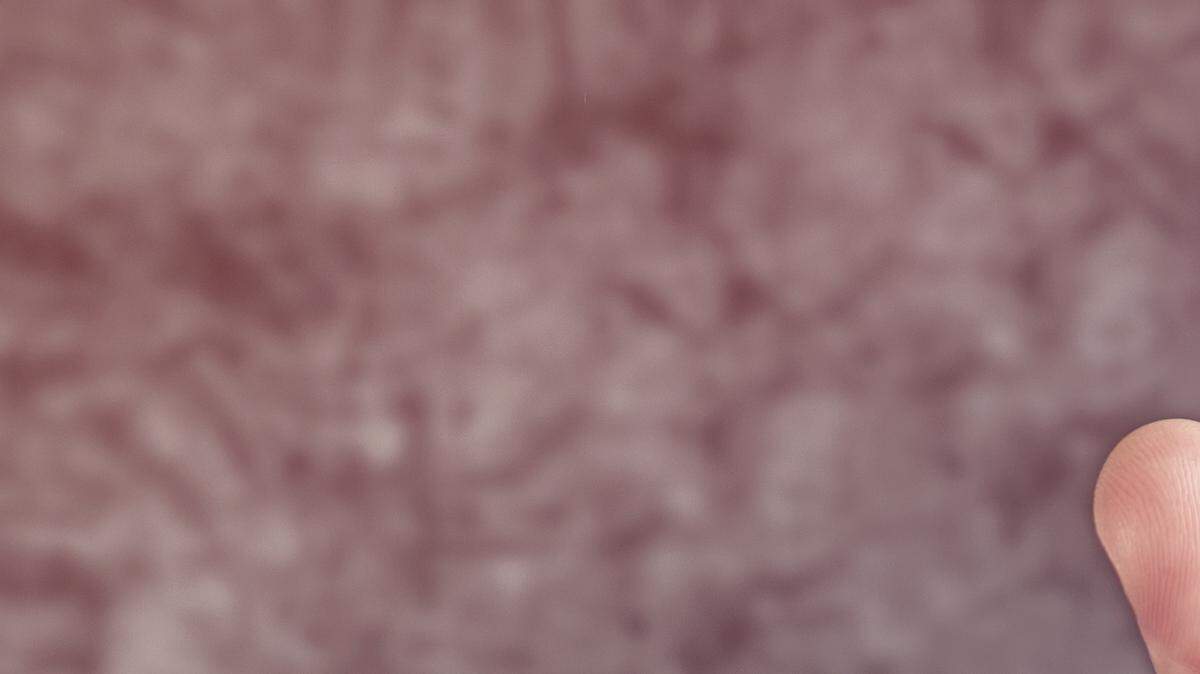 Esta historia en realidad comenzó 17 años antes, en 1988, cuando Tamayo comenzó una relación con la mujer — identificada en una denuncia penal sólo como Víctima.