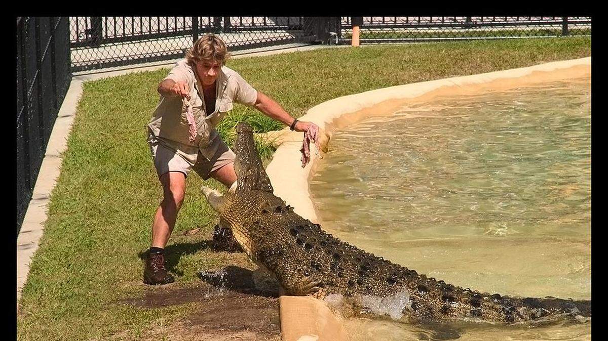 STEVE IRWIN fue un figura muy conocida por su trabajo con animales.