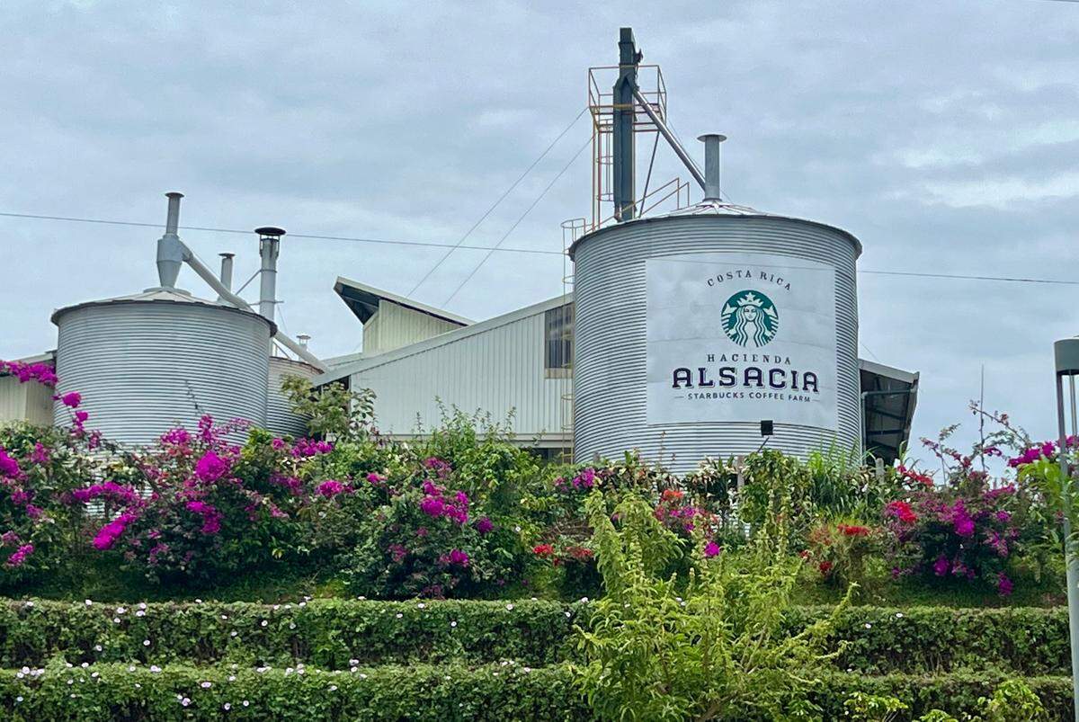 Hacienda Alsacia de café Starbucks en Costa Rica