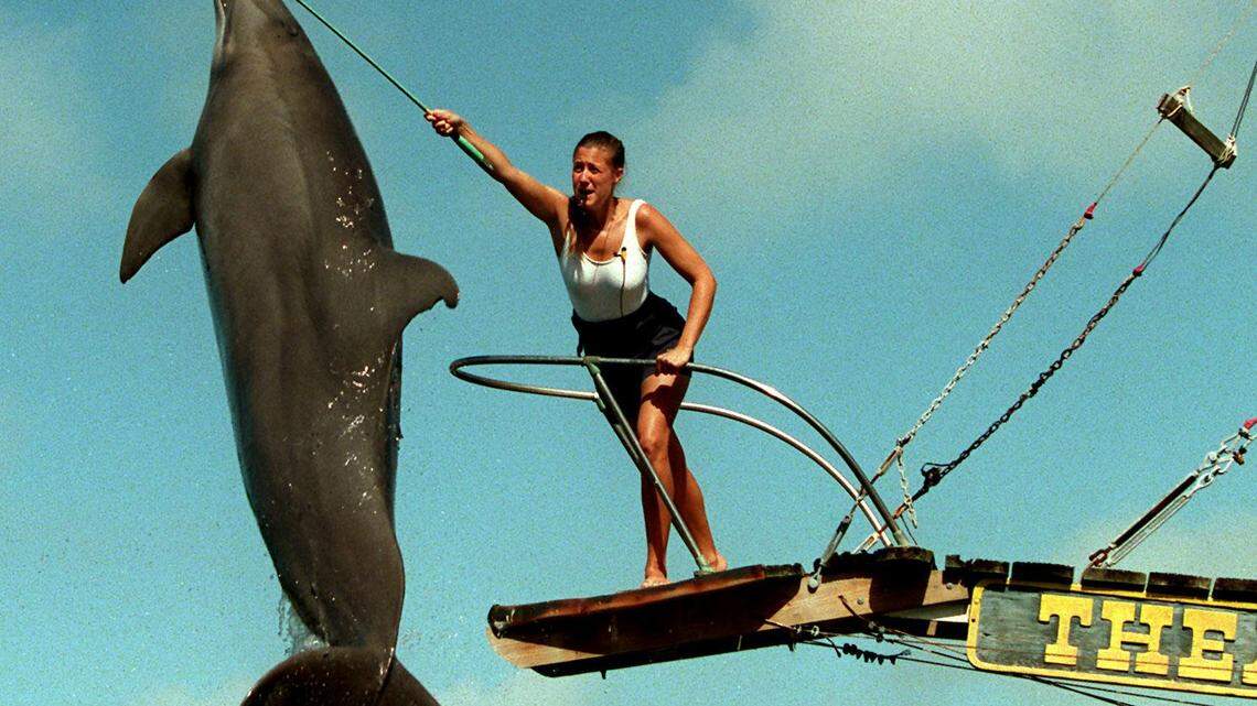 Giant lobster? Dog-like deer? You can see these quirky landmarks in the Florida Keys