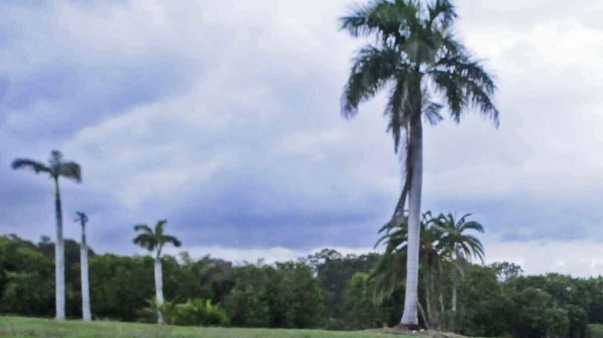 9493641