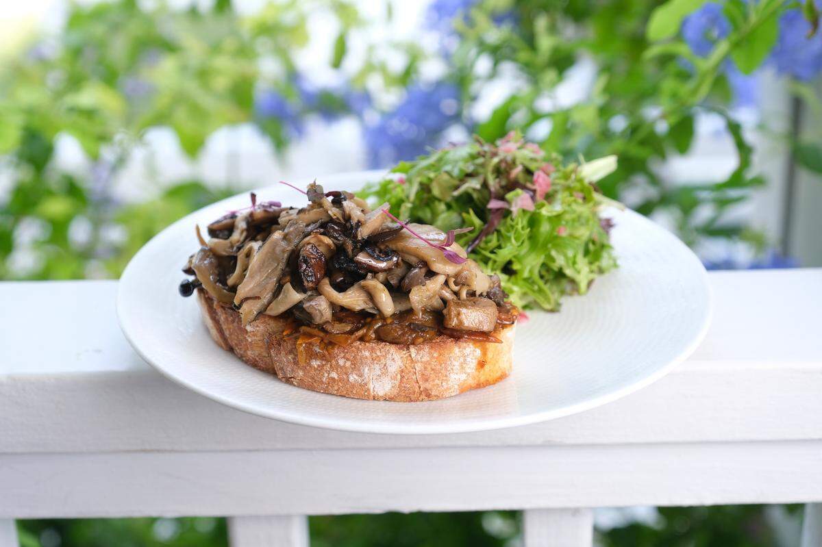 Gratitude Mushrooms Toast de Essensia.