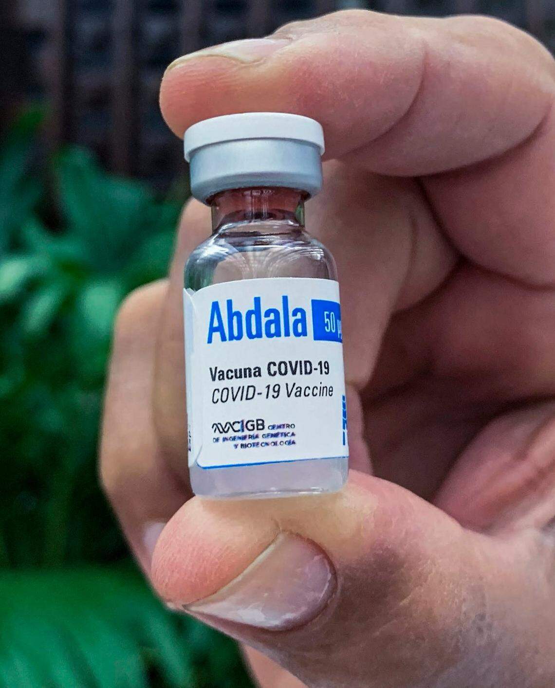 Esta foto de archivo del 19 de marzo de 2021 se muestra un frasco de Abdala, uno de los dos candidatos vacunales más avanzados de Cuba y con el que La Habana ha empezado la inmunización de sus habitantes contra el COVID-19.