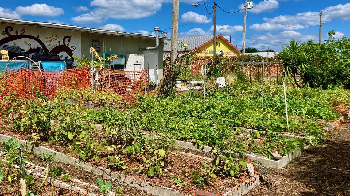 Uno de los jardines comunitarios de Cultivate Abundance se encuentra detrás de Misión Peniel y ha ayudado a la organización a producir más de 59 toneladas de productos desde el inicio de sus operaciones en 2018.