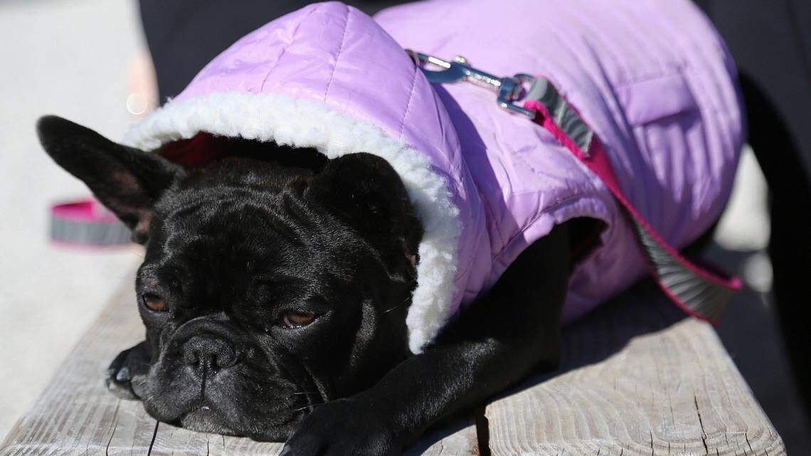 Miami prepárate para el día más frío de la temporada. Este viernes comenzamos con 50 grados