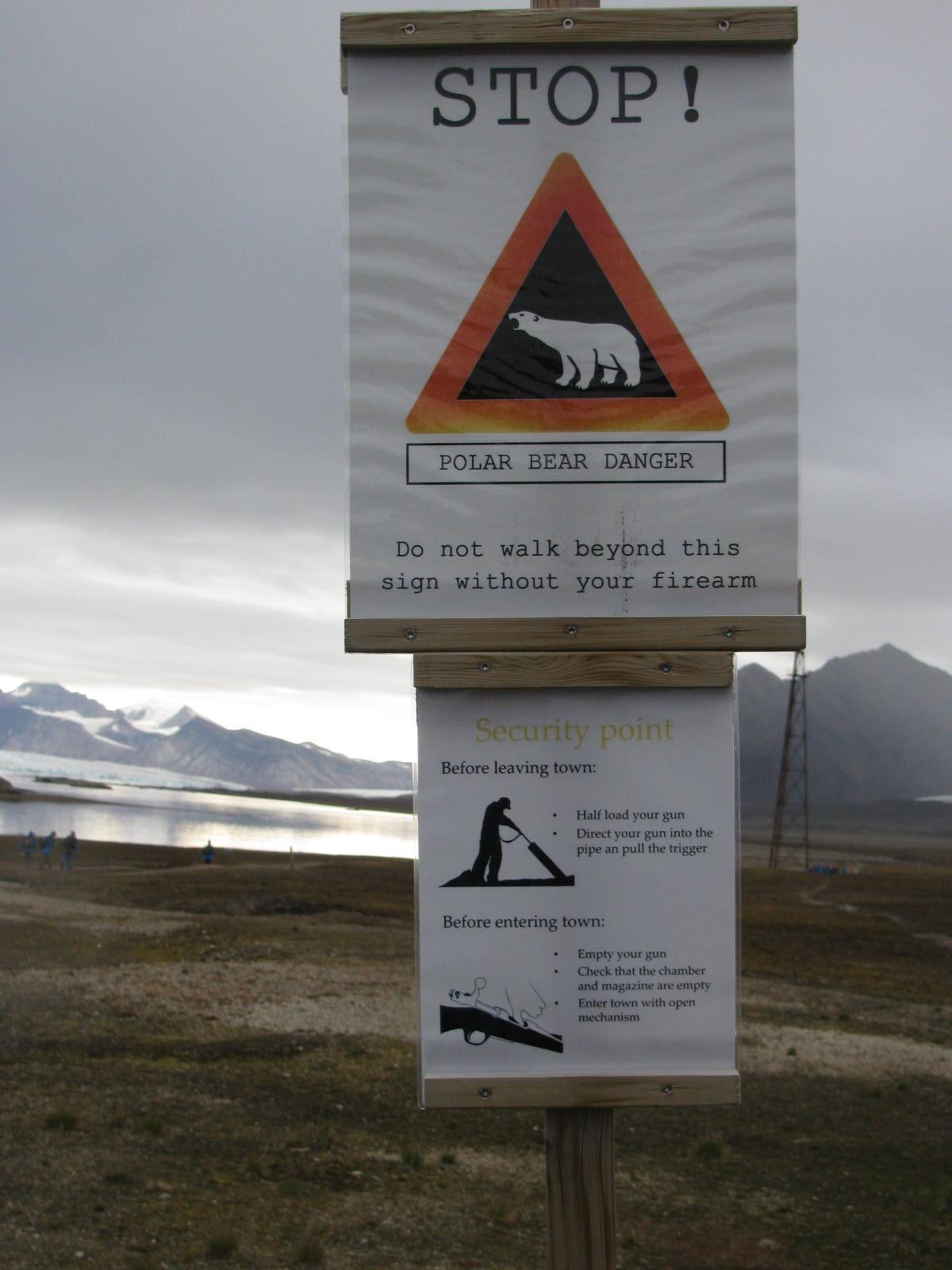 Al visitante de Svalbard se le advierte del peligro de acercarse a los osos polares sin llevar un arma.