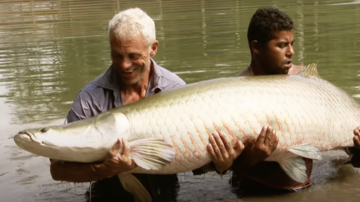 Fotografía tomada del programa de Animal Planet “River Monsters” con Jeremy Wade.