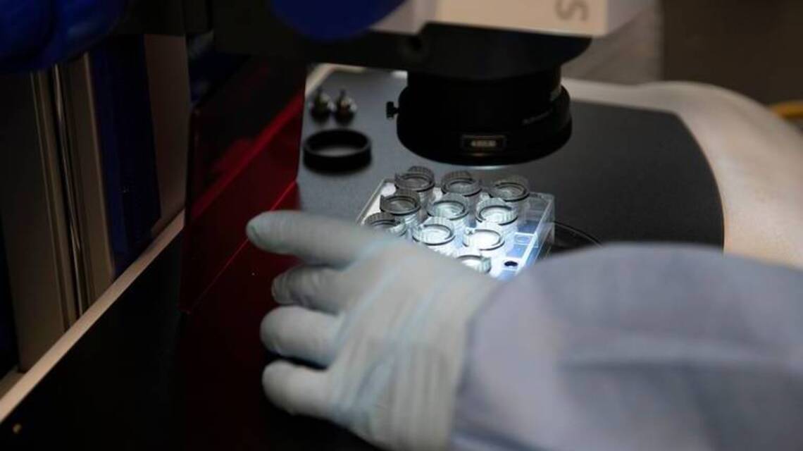 Comienza la carrera por hallar vacuna contra el coronavirus, el resultado pudiera demorar un año