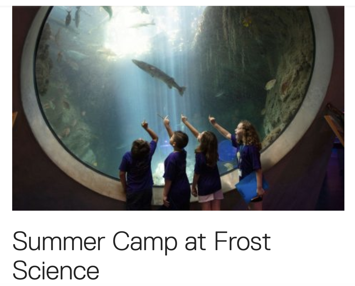 Frost Science abre inscripciones para sus campamentos de verano.