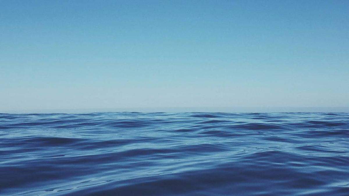 La ballena azul deja pequeñas a todas las especies conocidas de dinosaurio y a cualquier otra criatura que haya vivido en el planeta Tierra, según la Administración Nacional Oceánica y Atmosférica (NOAA).