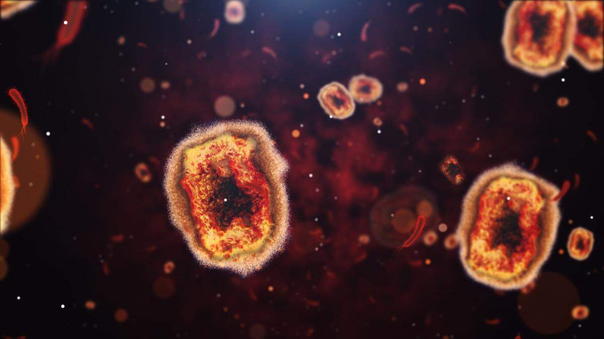 Animation of  Monkeypox viruses