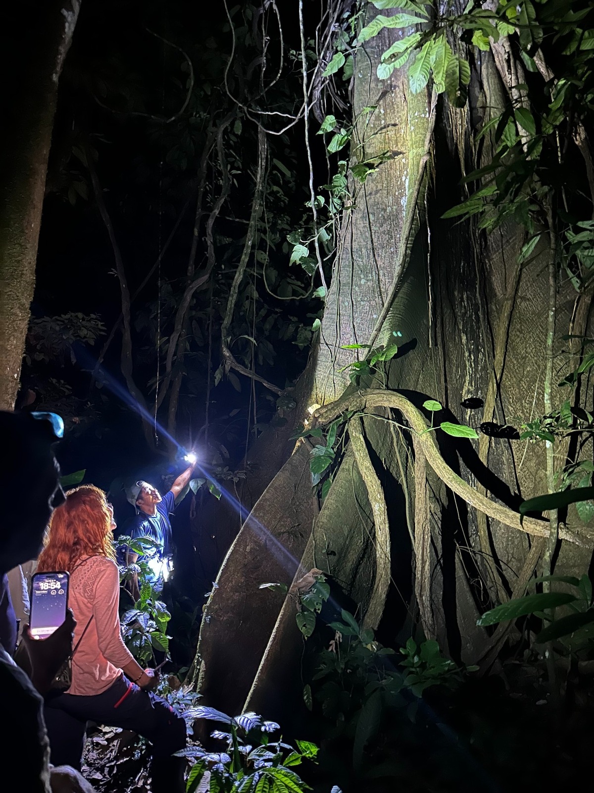 Caminata nocturna por la selva amazónica, sur del Parque Nacional Yasuní.