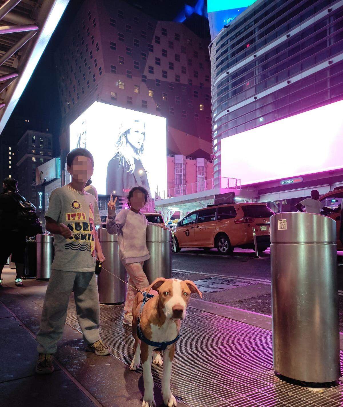 Max pasea por las calles de Nueva York.