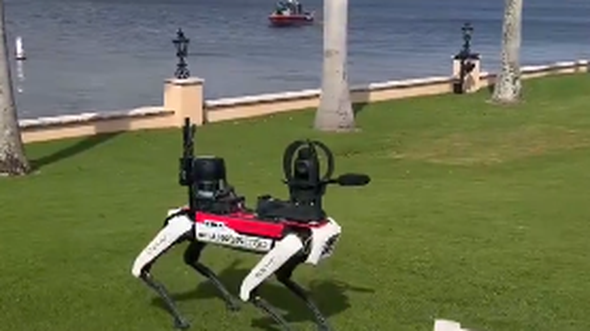 El Servicio Secreto estadounidense comenzó a emplear perros robot para la protección del presidente electo, Donald Trump, en su residencia y club privado de Mar-a-Lago, en Palm Beach, Florida.