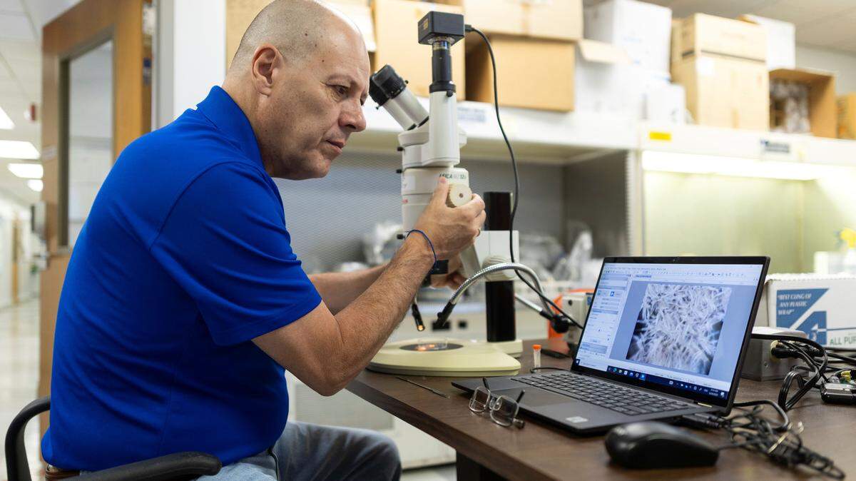 Wagner Vendrame, profesor del departamento de horticultura ambiental de UF/IFAS y miembro del Instituto Espacial Astraeus de UF, enviará cuatro tipos de semillas cultivadas en la universidad a la Estación Espacial Internacional.