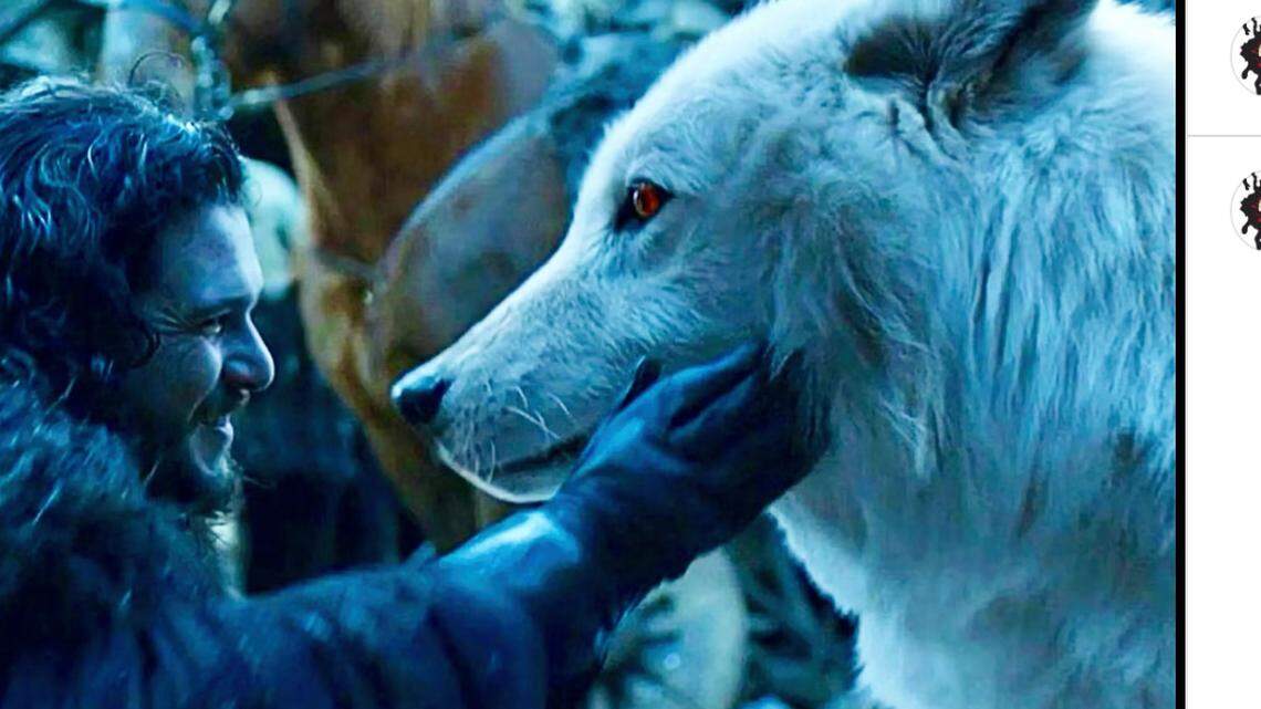 Captura de pantalla/Instagram.