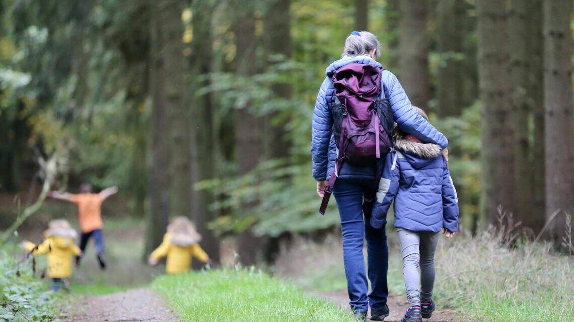 En defensa de los paseos y las largas caminatas | Opinión