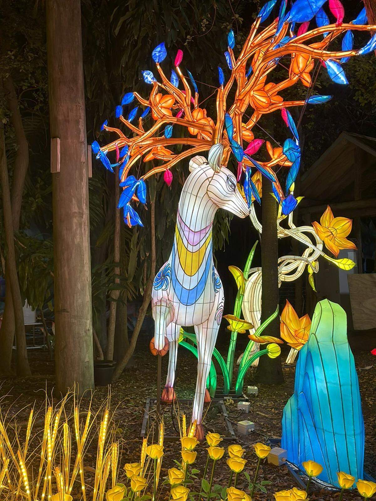 El festival, inspirado en cuentos de hadas, presenta instalaciones encantadoras.&nbsp;