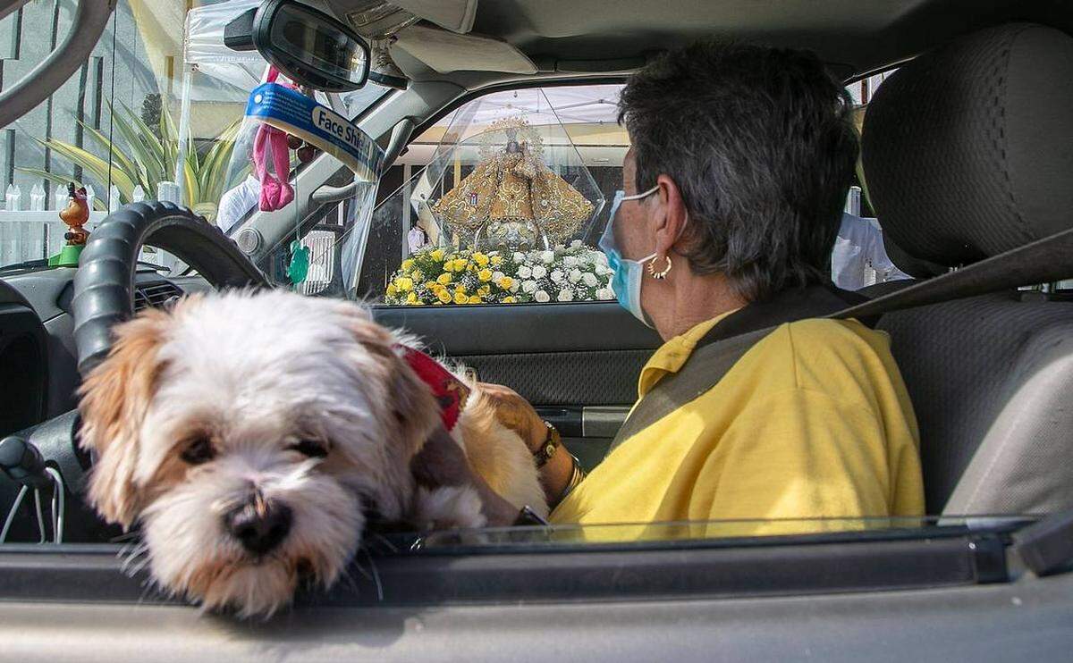 En la Florida, no es obligatorio sujetar a su mascota en el auto mientras conduce, pero si le hacen conducir imprudentemente, puede tener problemas legales.