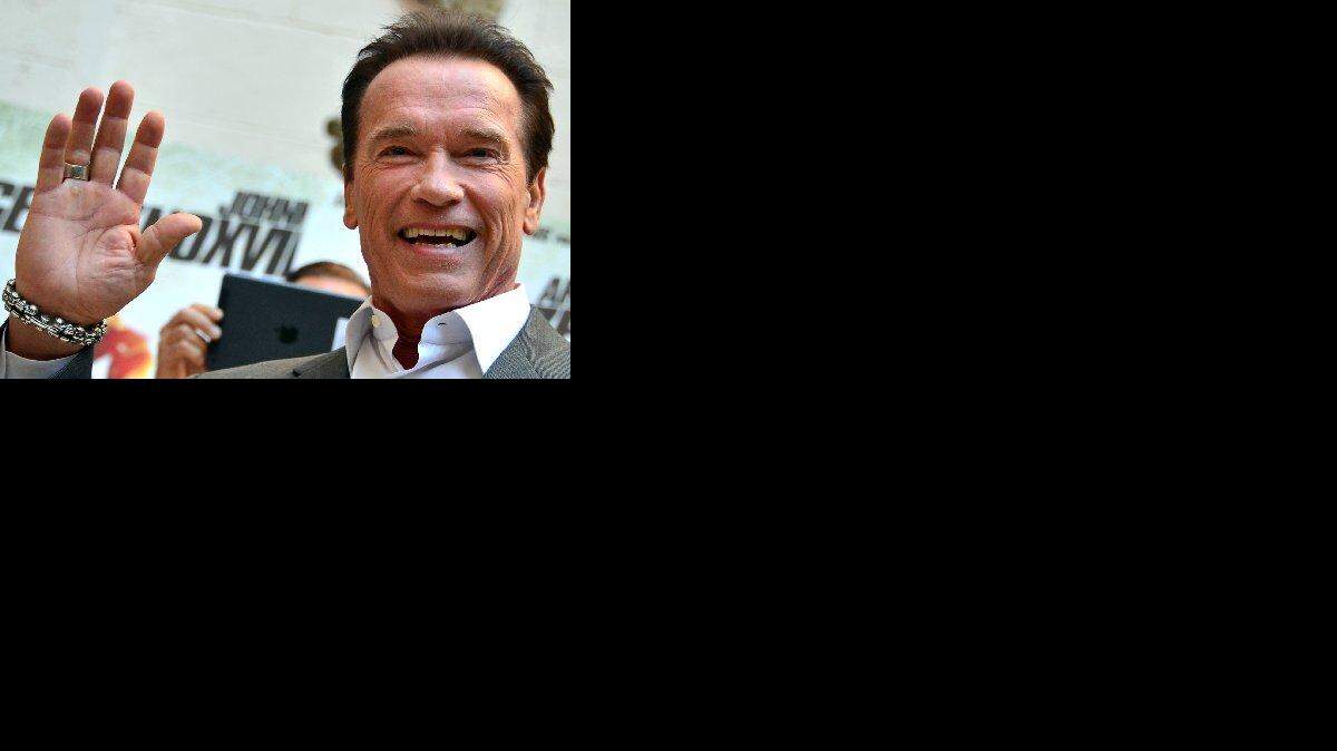  Arnold Schwarzenegger en una foto de archivo de enero del  2013 en Roma. 