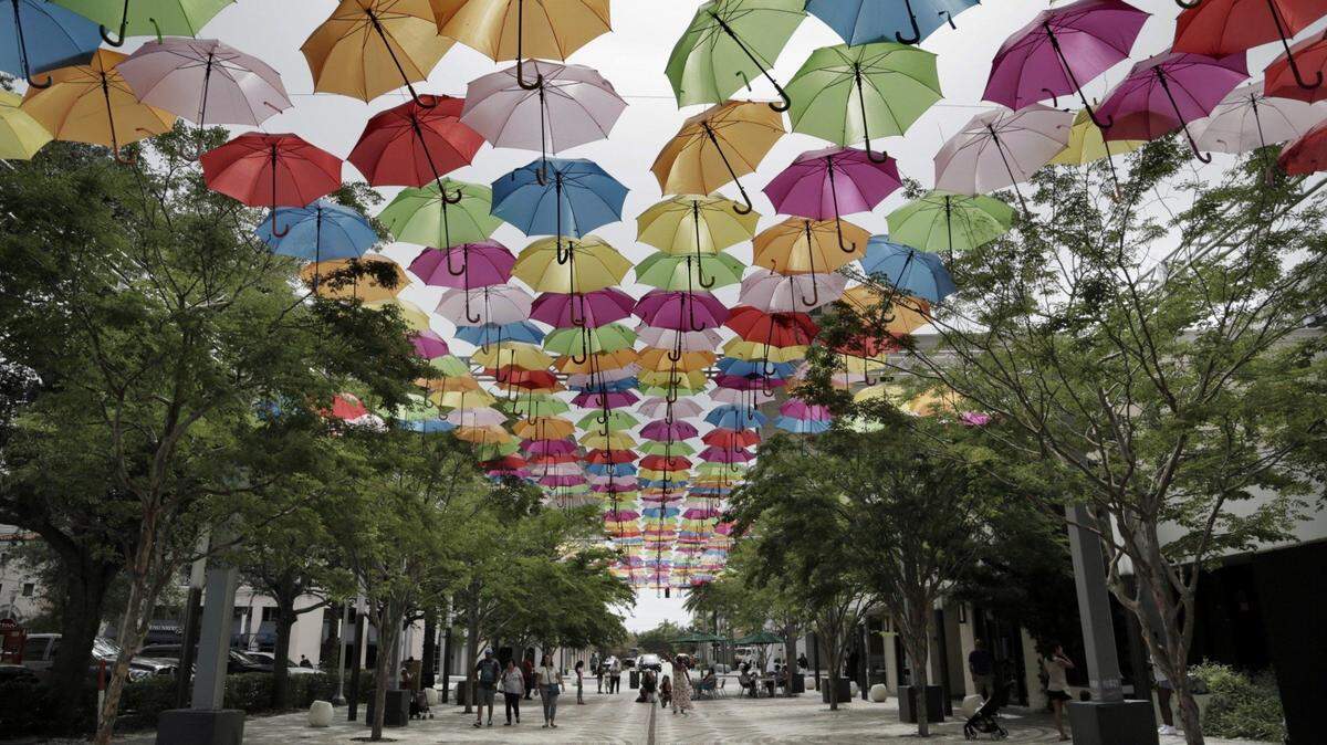 Más de 700 sombrillas de colores adornan la Giralda Plaza, Coral Gables, como parte de The Umbrella Sky Project.