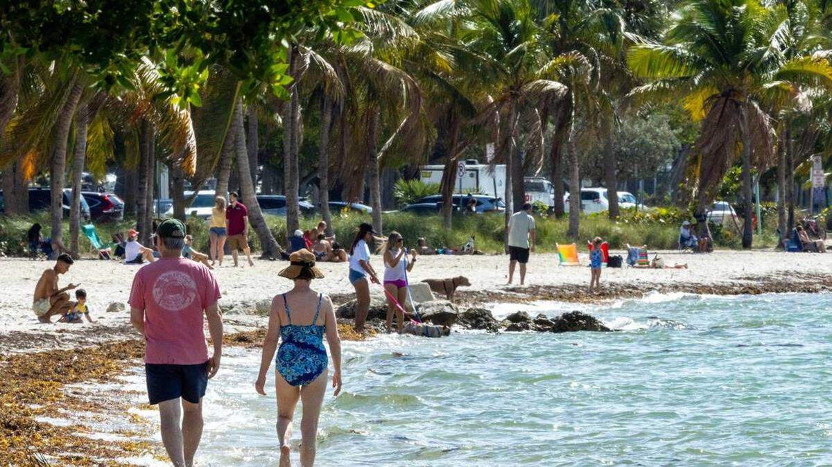 Personas pasean y socializan en la playa para perros de Key Biscayne, Miami, Florida, el miércoles 22 de febrero de 2023. 