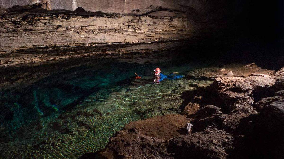 Elusiva criatura que se temía extinta aparece en una oscura caverna de Alabama.