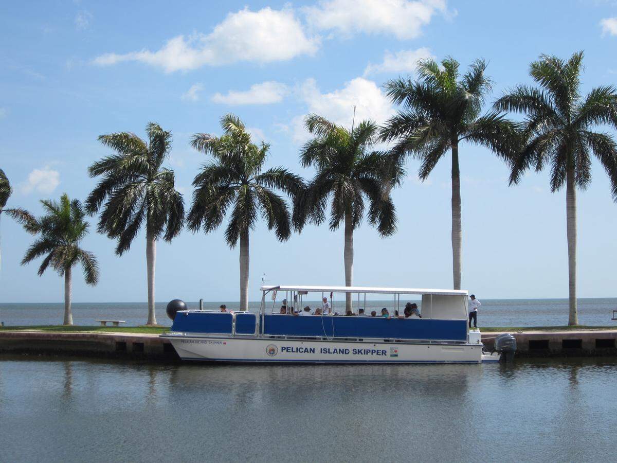 Crucero de pesca desde Deering Estate.