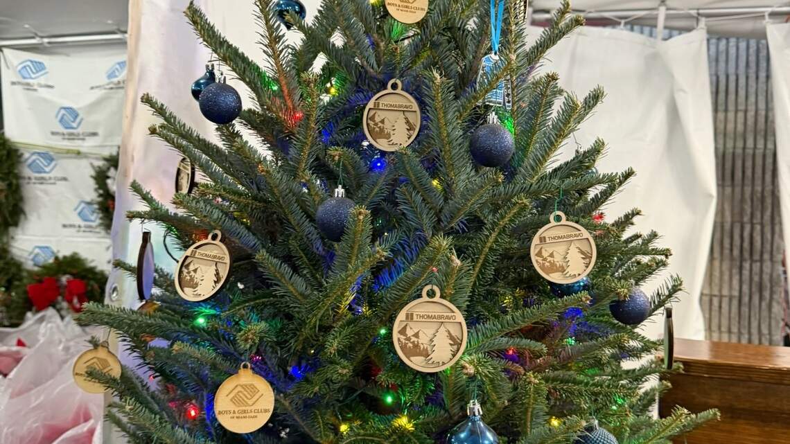 Entregarán gratis árboles de Navidad a familias del sur de la Florida. Así puedes conseguir el tuyo