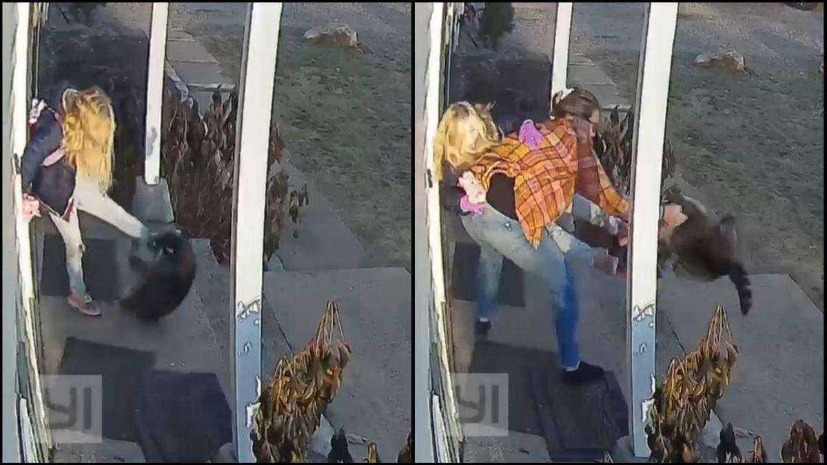 Mapache ataca a una niña en el porche de su casa. Enseguida, la madre sale en su defensa.