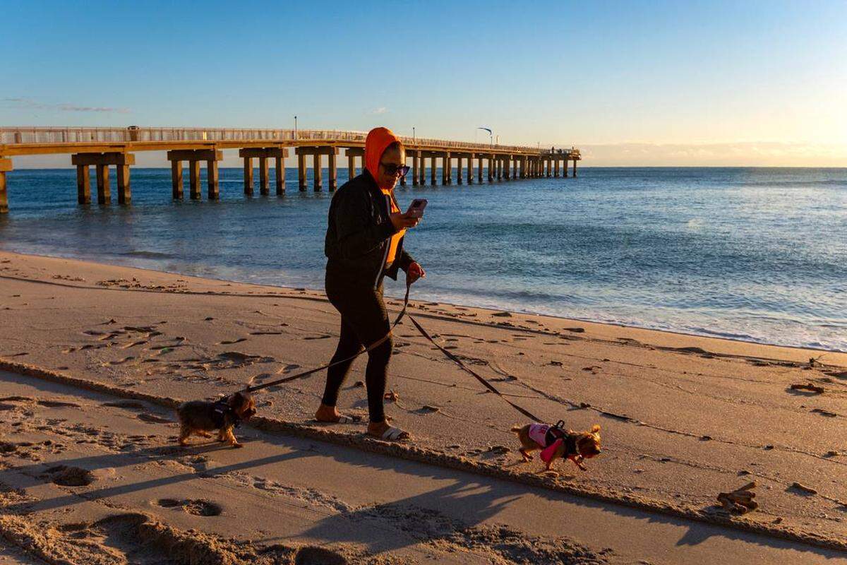 El residente del sur de la Florida JC Holder, pasea sus perras, Haven y Pebbles bajo el tiempo frío en el Newport Fishing Pier, el martes 30 de enero de 2024 en Sunny Isles Beach, Florida. 