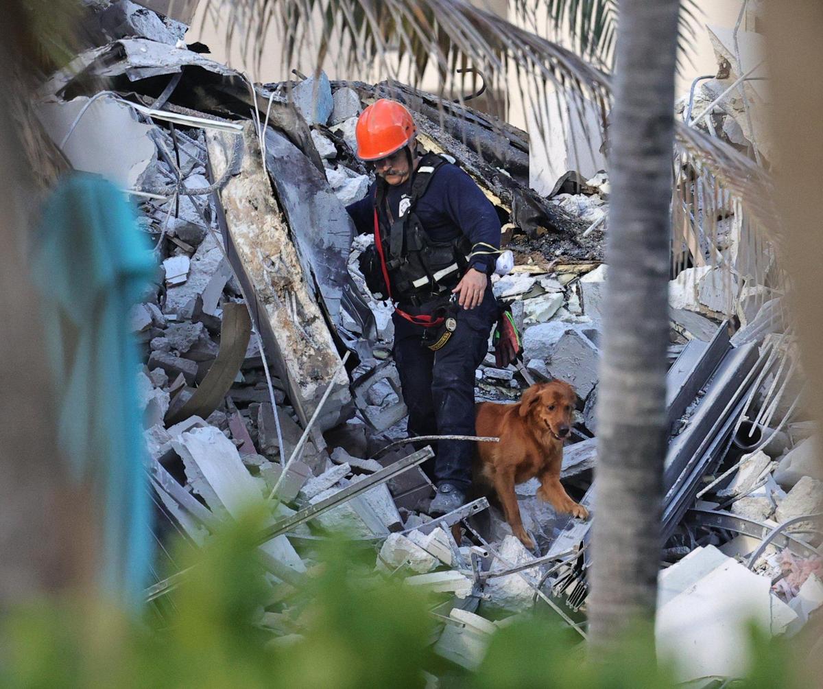 Personal de rescate de los bomberos busca con perros entre los escombros en Champlain Towers South Condo en Surfside, ubicado en 8777 Collins Avenue, una parte del cual colapsó temprano en la mañana en Surfside, Florida, el jueves 24 de junio de 2021.