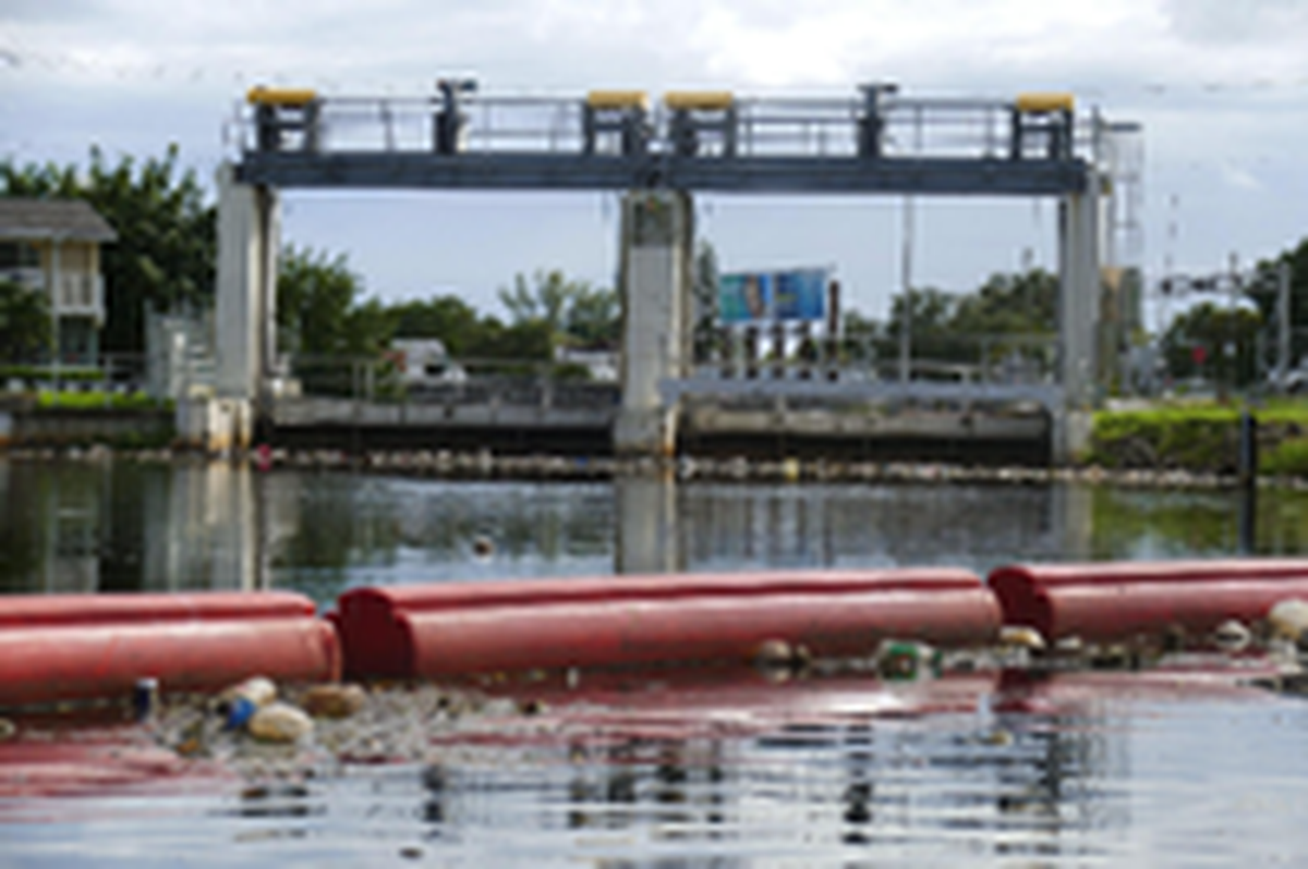 Una barrera para recoger la basura  se extiende a través del Little River justo al norte de la estructura de control de inundaciones del Distrito de Gestión del Agua del Sur de la Florida, cerca de NE 82 Street y 4 Place