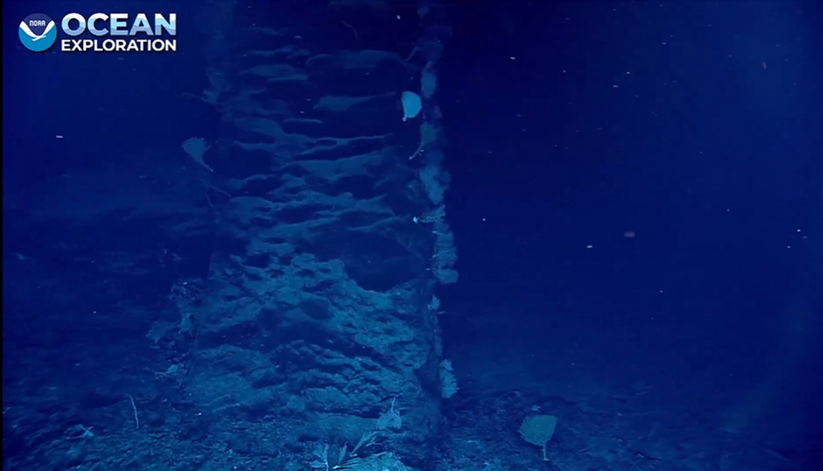 Algunas partes del monolito rocoso estaban cubiertas de vida marina, según mostraron las cámaras de la NOAA.