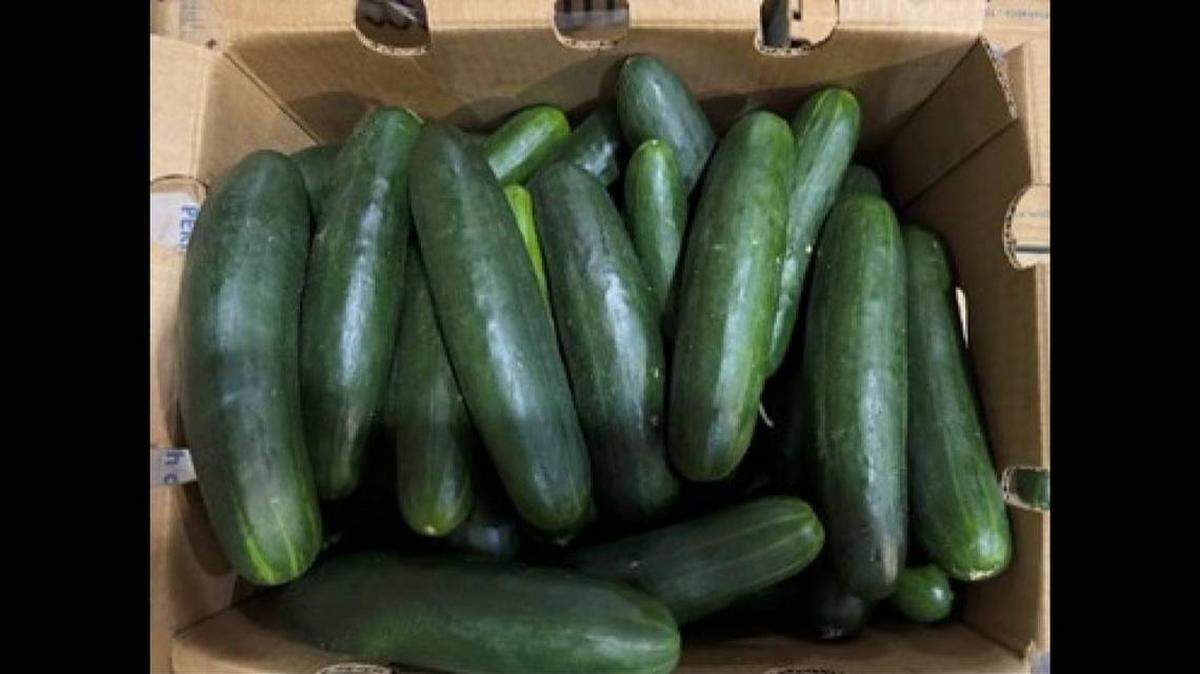 Una caja de pepinos de la compañía Fresh Start Produce. Una investigación de la FDA detectó salmonella en el producto.